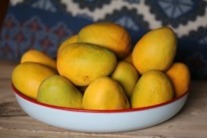 Mangos in a bowl rich with beta carotene