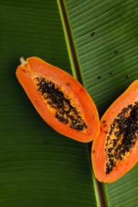 Papayas split down the middle with seeds showing their beta carotene richness